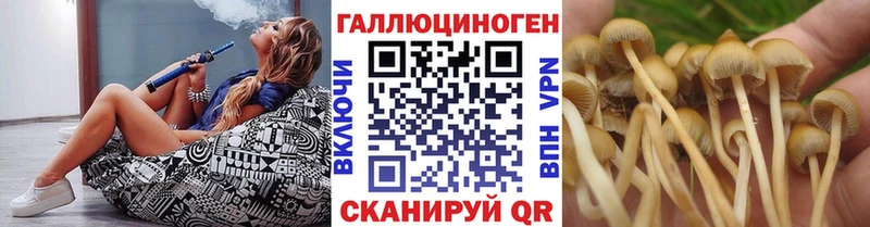 ОМГ ОМГ   Нижний Тагил  Галлюциногенные грибы мухоморы  купить закладку 